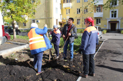 ОЗЕЛЕНЯЕМ РАЙОН