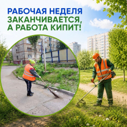 Рабочая неделя заканчивается, а работа кипит! 