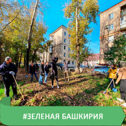 КТО КУДА, А МЫ НА СУББОТНИК!