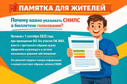 Почему важно указывать СНИЛС в бюллетене голосования?