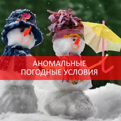ВО ДЕЛА