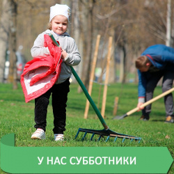 НАВЕДЁМ ЧИСТОТУ