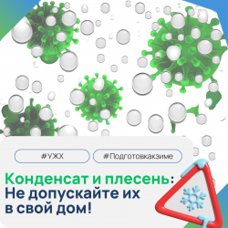 Как предотвратить образование конденсата и плесени в квартире в холодное время года?