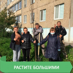 ПОСАДИТЬ ДЕРЕВО