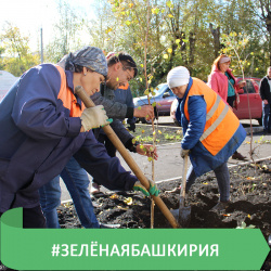 У НАС СУББОТНИК! ШАХ И МАТ