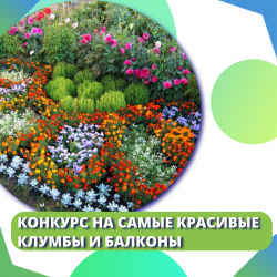 Конкурс на самые красивые клумбы и балконы