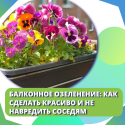 Балконное озеленение: как сделать красиво и не навредить соседям
