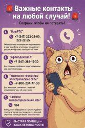 Важные контакты на любой случай!