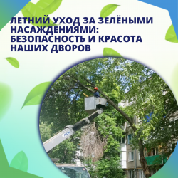 Летний уход за зелёными насаждениями: безопасность и красота наших дворов