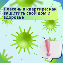 Плесень в квартире: как защитить свой дом и здоровье