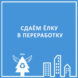 ЁЛКАМ ВТОРУЮ ЖИЗНЬ