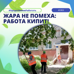 Жара не помеха: работа кипит!