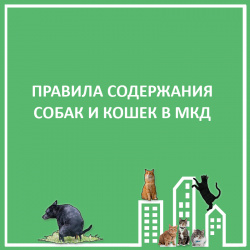 ЖИВОТНЫЕ В МКД