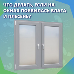 Что делать, если на окнах появилась влага и плесень?