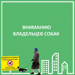 ЧТО ГОВОРЯТ ЗАКОНЫ О ВЫГУЛЕ СОБАК