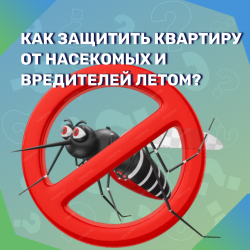 Как защитить квартиру от насекомых и вредителей летом?