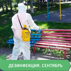 ГРАФИКИ ДЕЗИНФЕКЦИИ НА СЕНТЯБРЬ