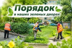 Порядок в наших зеленых дворах