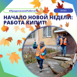 Начало новой недели: работа кипит! 