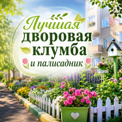 Лучшая дворовая клумба и палисадник