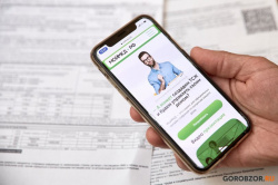 ОНЛАЙН ГОЛОСОВАНИЕ