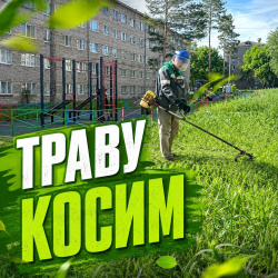 Чистый двор наша общая забота!