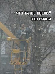 КРОНИРОВАНИЕ