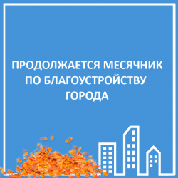 МЕСЯЧНИК ПО БЛАГОУСТРОЙСТВУ ПРОДОЛЖАЕТСЯ