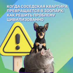 Когда соседская квартира превращается в зоопарк: как решить проблему цивилизованно