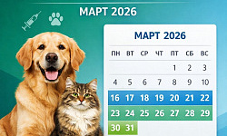 Бесплатная вакцинация питомцев от бешенства в офисах ваших обслуживающих организаций!   