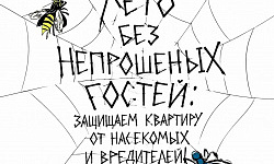 Лето без непрошеных гостей: защищаем квартиру от насекомых и вредителей!