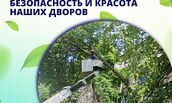 Летний уход за зелёными насаждениями: безопасность и красота наших дворов