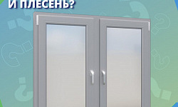 Что делать, если на окнах появилась влага и плесень?