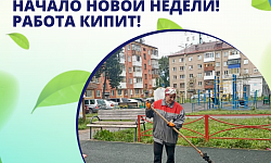 Начало новой недели! Работа кипит!