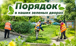 Порядок в наших зеленых дворах
