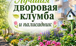 Лучшая дворовая клумба и палисадник