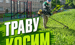 Чистый двор наша общая забота!